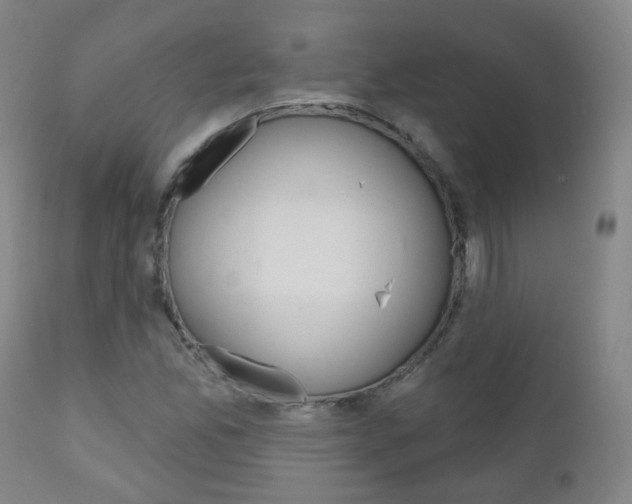 X0000111001165200906191137