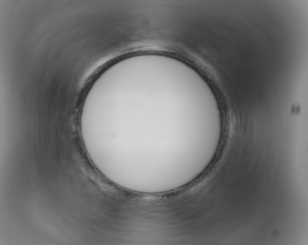 X0000111001166200906191137
