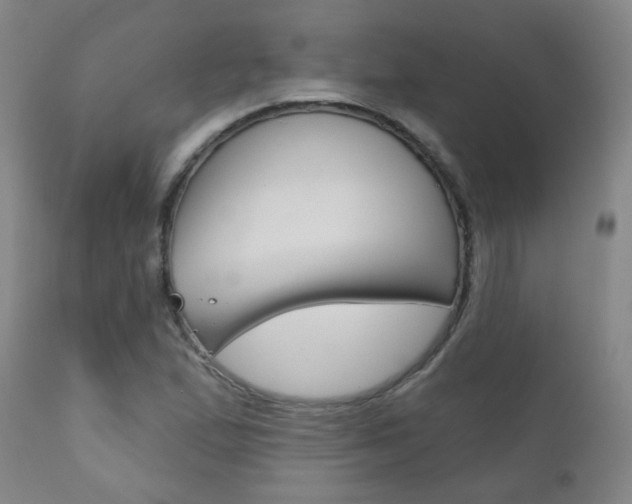 X0000111001167200906191137