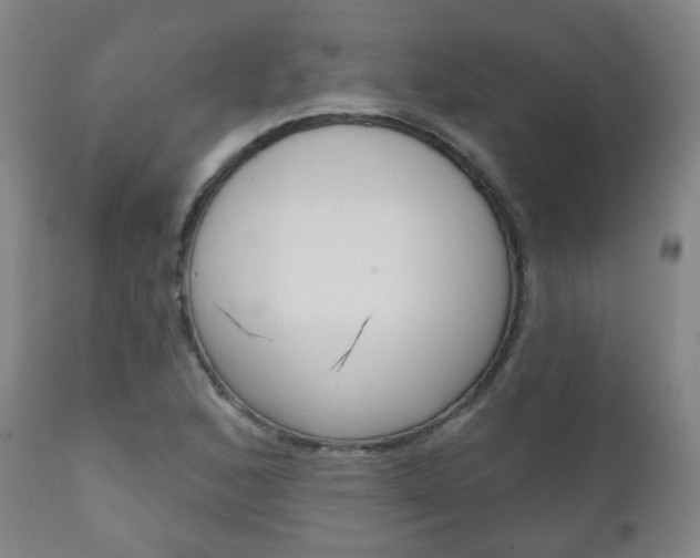 X0000111001168200906191137