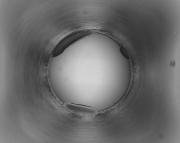 X0000111001169200906191137