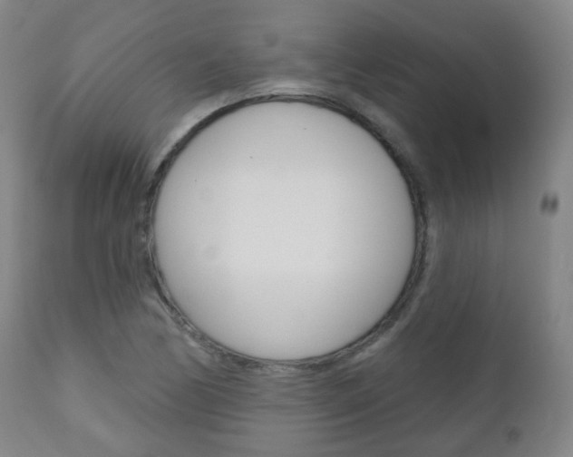 X0000111001170200906191137
