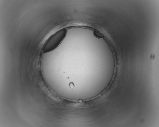 X0000111001173200906191137