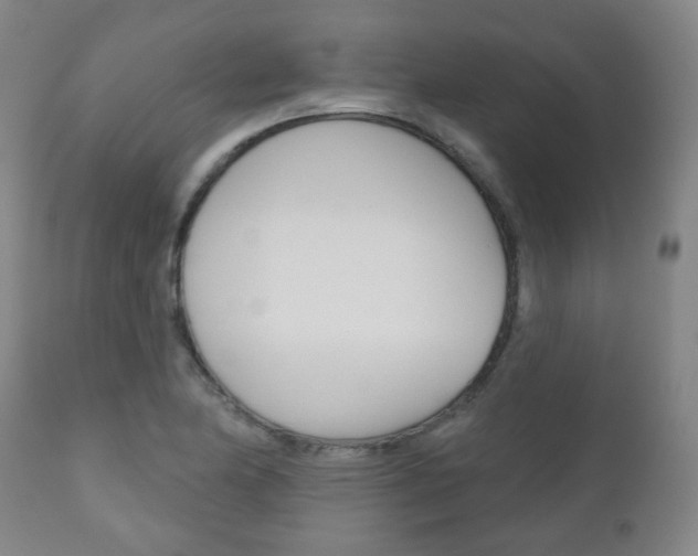 X0000111001174200906191137