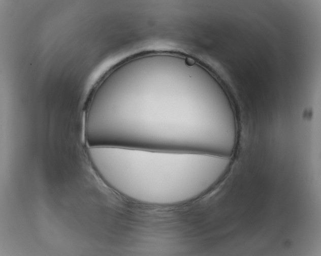 X0000111001175200906191137
