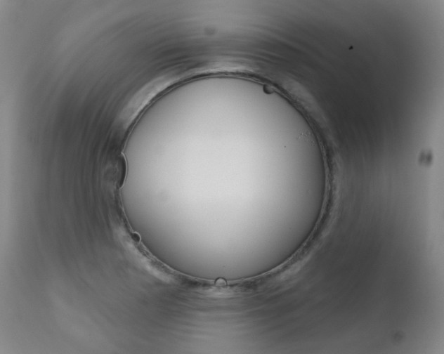 X0000111001177200906191136