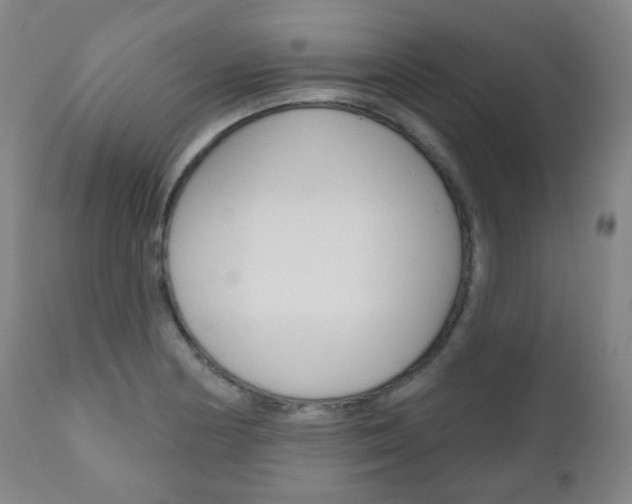X0000111001178200906191136