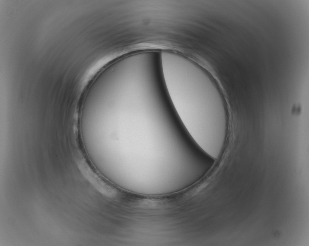 X0000111001179200906191136