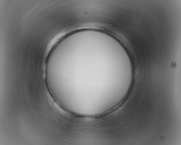 X0000111001180200906191136