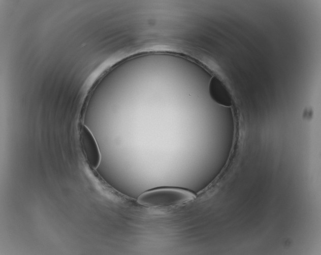X0000111001181200906191136