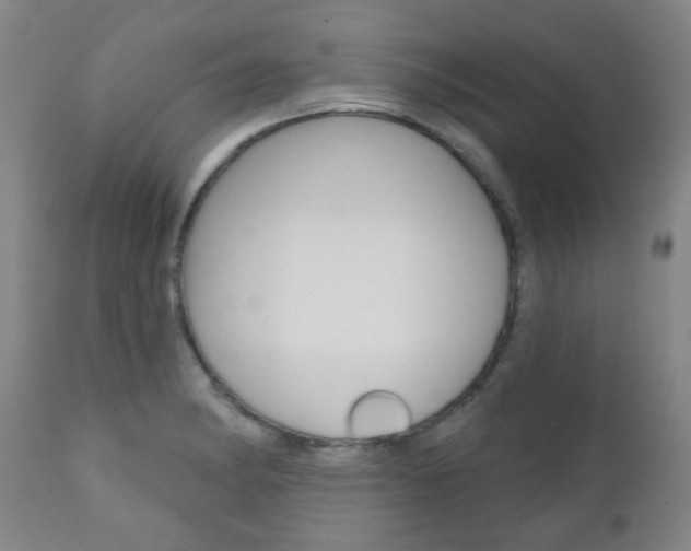 X0000111001182200906191136