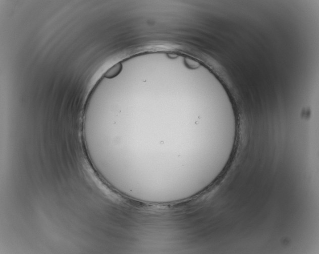 X0000111001186200906191136