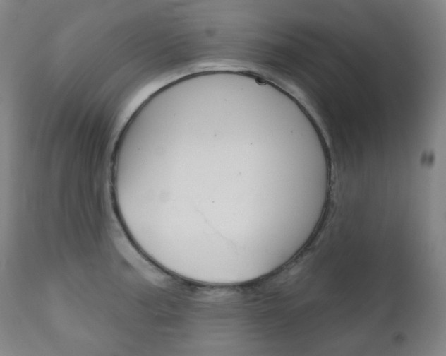 X0000111001187200906191136