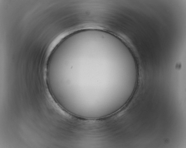 X0000111001188200906191136