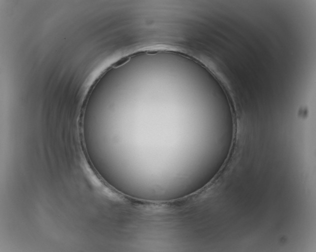 X0000111001189200906191136