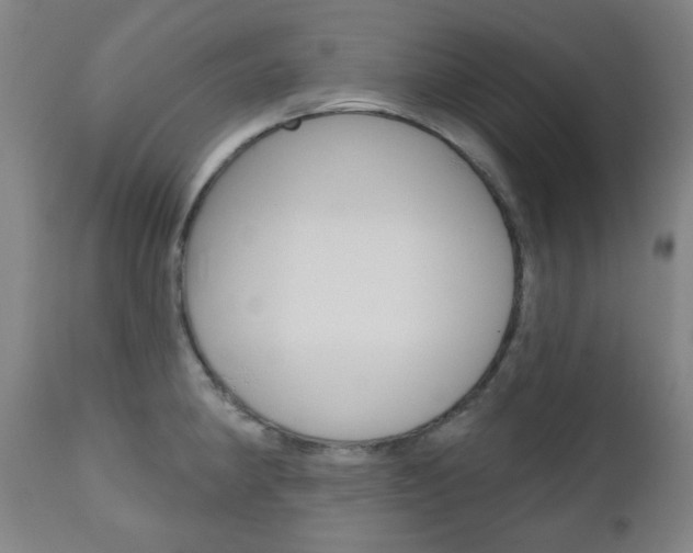 X0000111001190200906191136