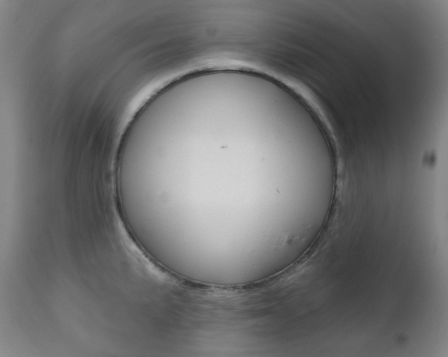 X0000111001191200906191136