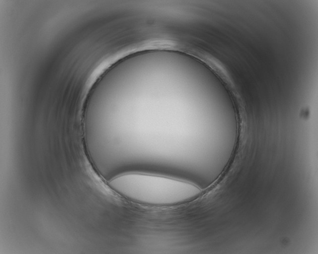 X0000111001192200906191136