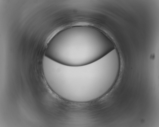 X0000111001193200906191136