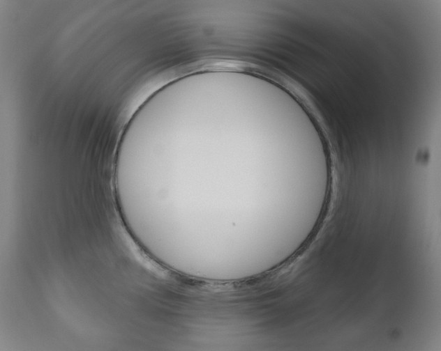 X0000111001194200906191136