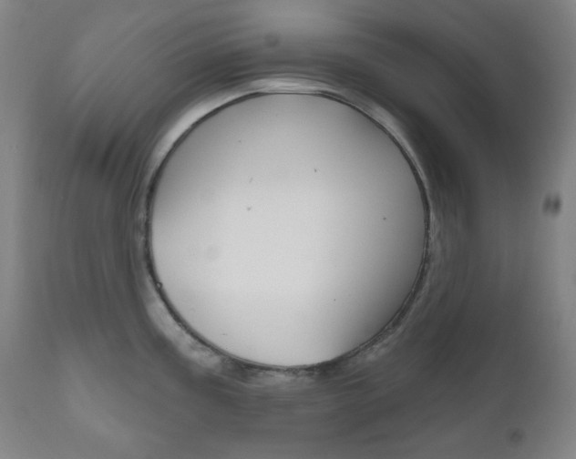 X0000111001195200906191136