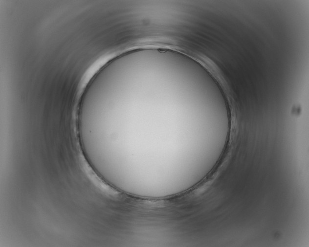 X0000111001196200906191136