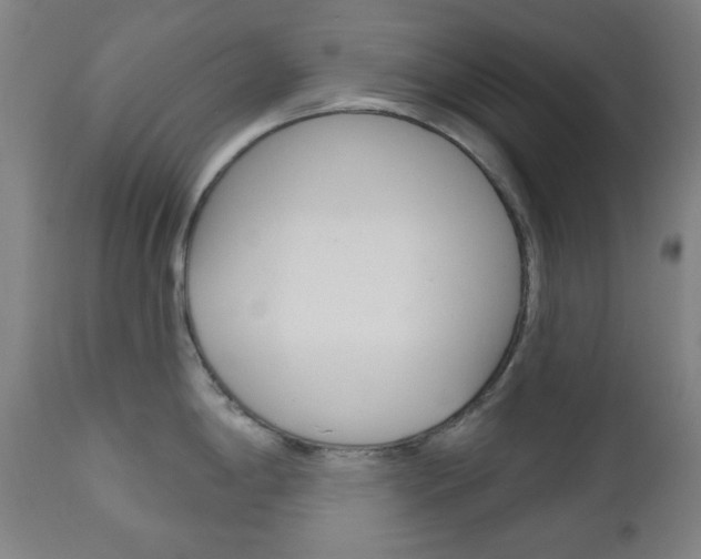 X0000111001198200906191136
