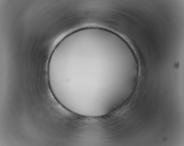 X0000111001199200906191136