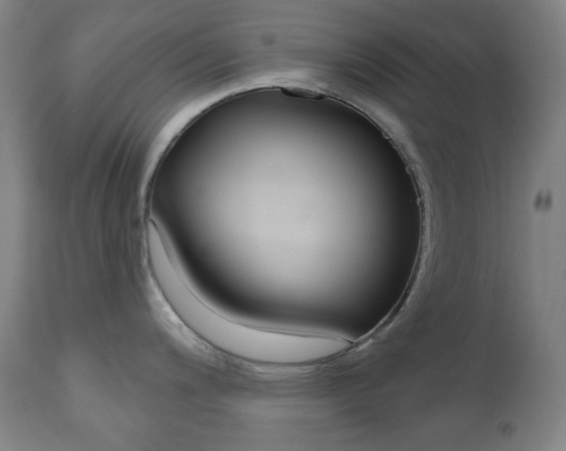 X0000111001200200906191136