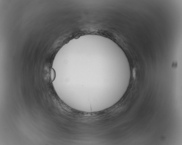 X0000111001203200906191135