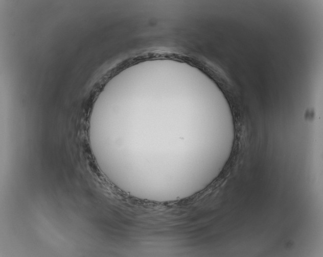 X0000111001207200906191135