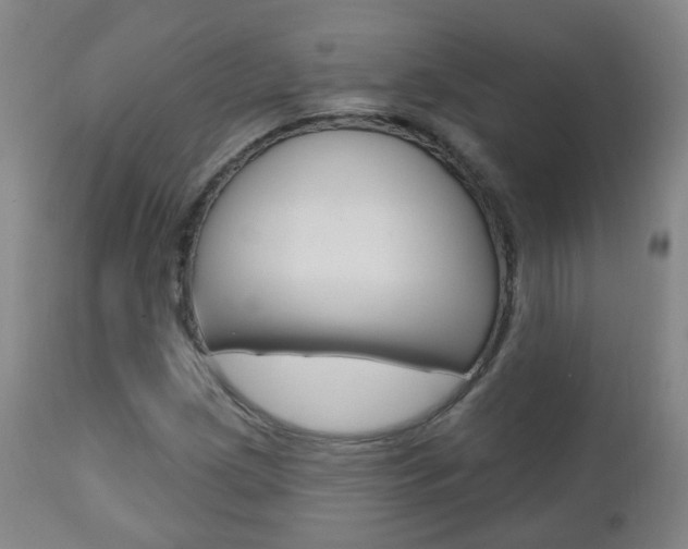 X0000111001209200906191135