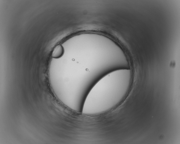 X0000111001213200906191136