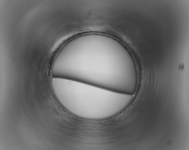 X0000111001214200906191136