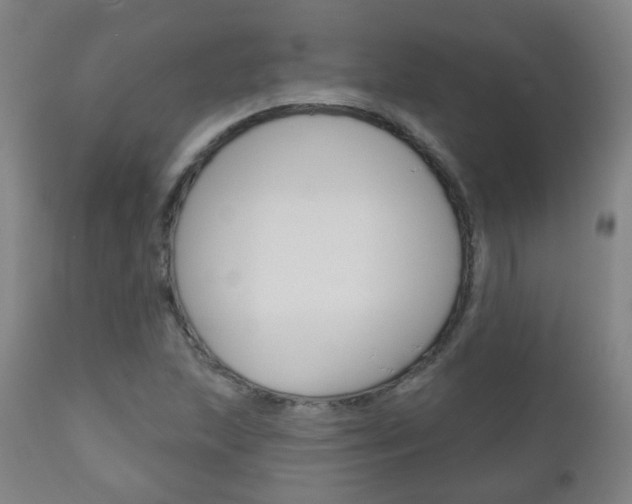 X0000111001215200906191136