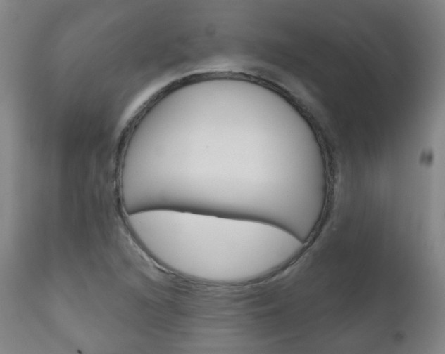 X0000111001216200906191136