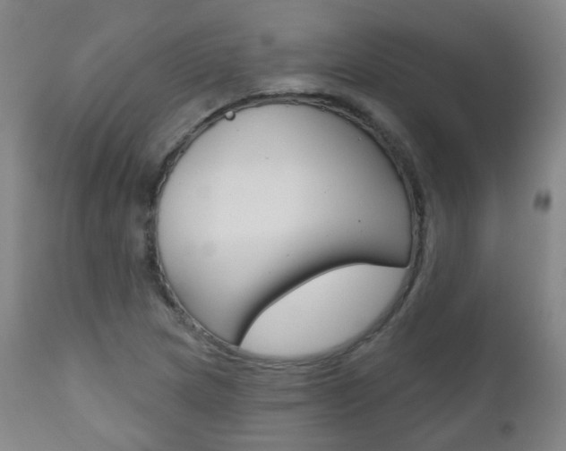 X0000111001217200906191136