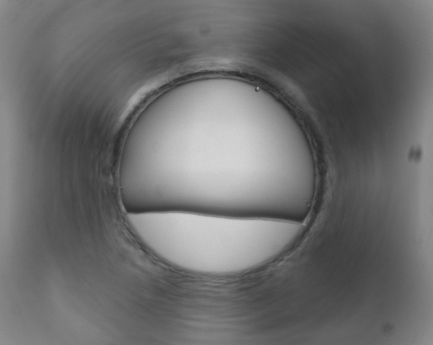 X0000111001218200906191136