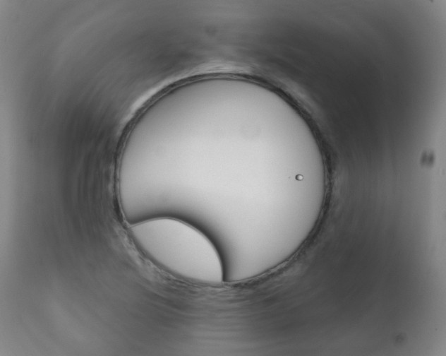 X0000111001220200906191136