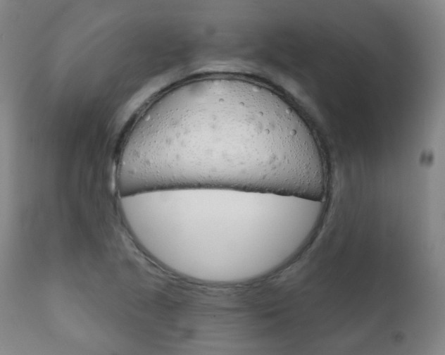 X0000111001221200906191136