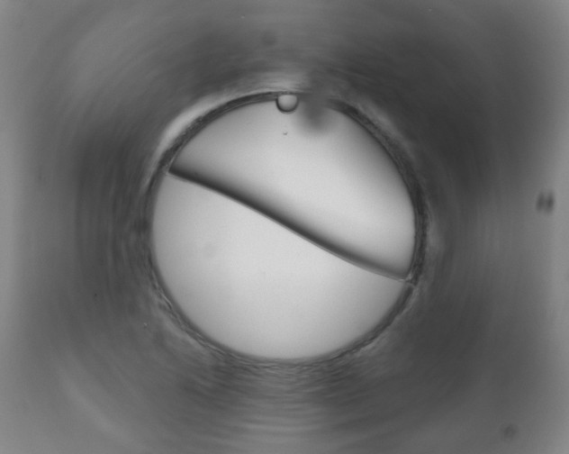 X0000111001222200906191136