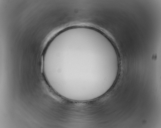X0000111001223200906191136