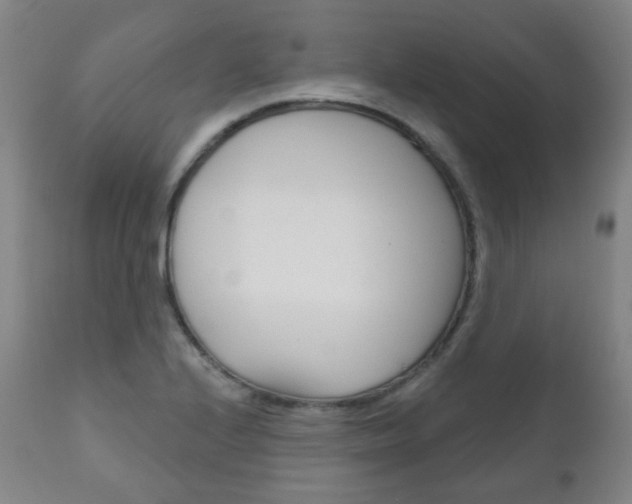X0000111001224200906191136