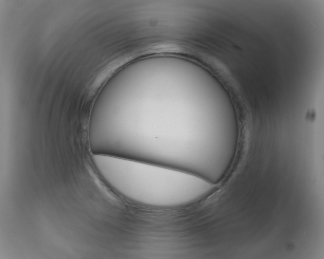 X0000111001225200906191136