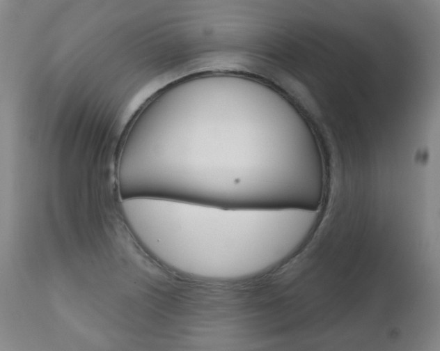 X0000111001226200906191136