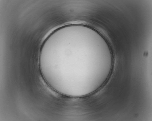 X0000111001228200906191136