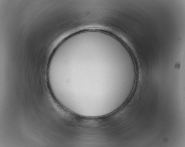 X0000111001229200906191136