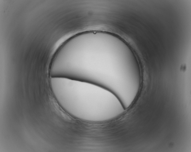 X0000111001230200906191136