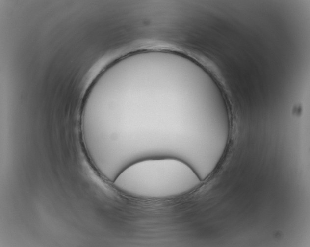 X0000111001231200906191136