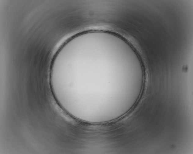 X0000111001232200906191136